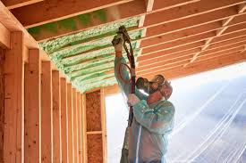 Best Basement Insulation  in Foresthill, CA